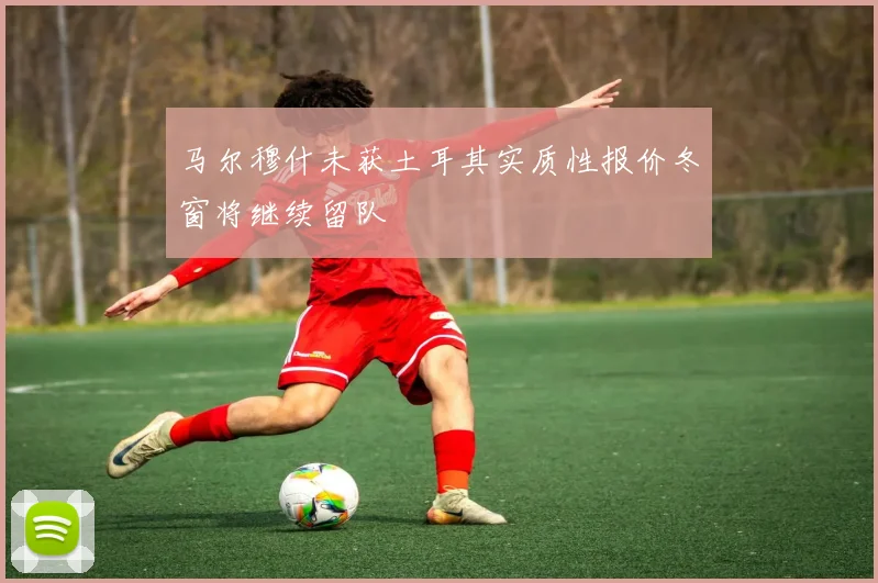 马尔穆什未获土耳其实质性报价冬窗将继续留队